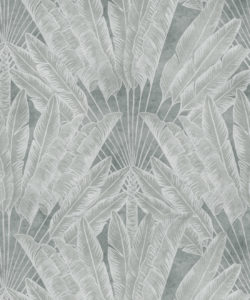 Travelers Palm Wallpaper