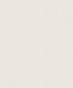 La Semilla Casa • Mrs Jones Chevron • Plaster • Swatch