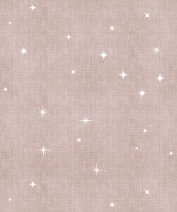 Milton & King Studios • Southern Skies • Minky• Swatch